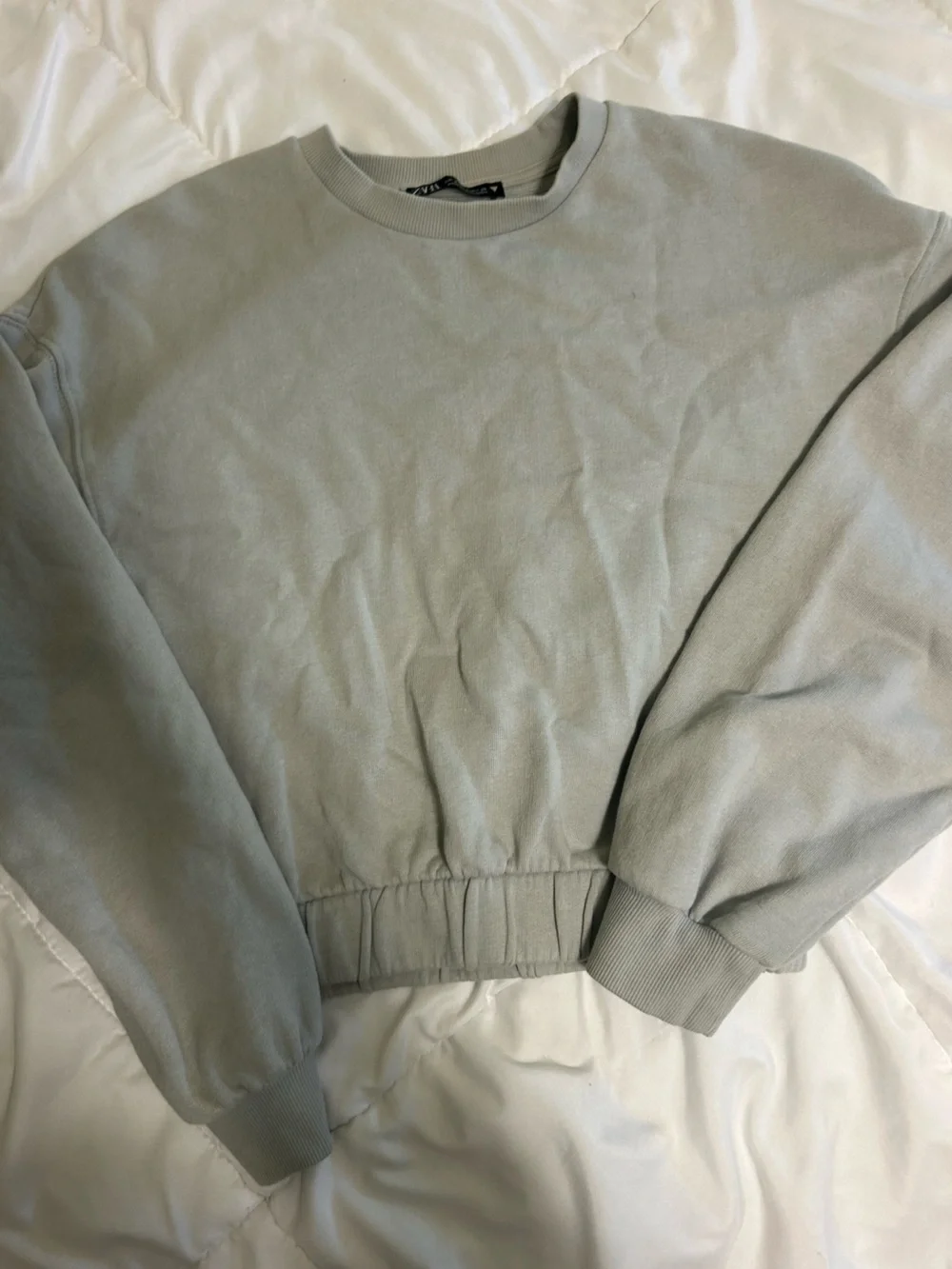Light Sage zara Cropped Crewneck Sweatshirt - Picture 1 of 2